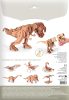 Graine Creative 3D puzzle – T-Rex