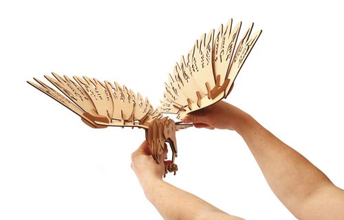 Graine Creative 3D puzzle – Keselyű