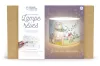 Graine Creative DIY álomlámpa készlet