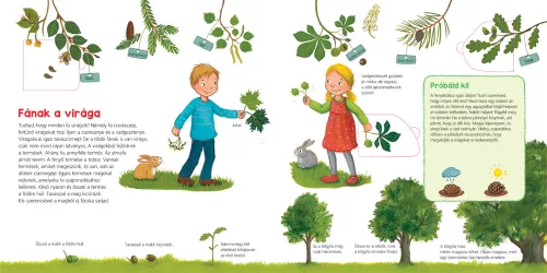 Az erdő Mi Micsoda Ovisoknak könyvek