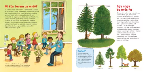 Az erdő Mi Micsoda Ovisoknak könyvek