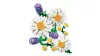 LEGO Botanicals 11508 Százszorszépek
