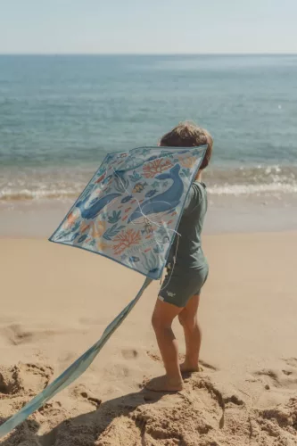 Little Dutch szélsárkány - Ocean World