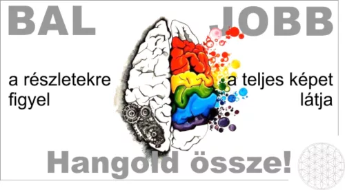 Csodakártya - Jobb és bal agyfélteke összehangolása + Bármi lehetséges, tanuld meg frissíteni a figyelmedet könyv csomagban