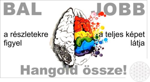 Csodakártya - Jobb és bal agyfélteke összehangolása + Bármi lehetséges, tanuld meg frissíteni a figyelmedet könyv csomagban