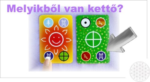 Csodakártya - Jobb és bal agyfélteke összehangolása + Bármi lehetséges, tanuld meg frissíteni a figyelmedet könyv csomagban