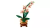LEGO Botanicals 10343 Mini orchidea