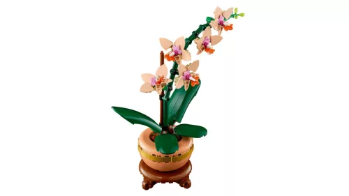 LEGO Botanicals 10343 Mini orchidea