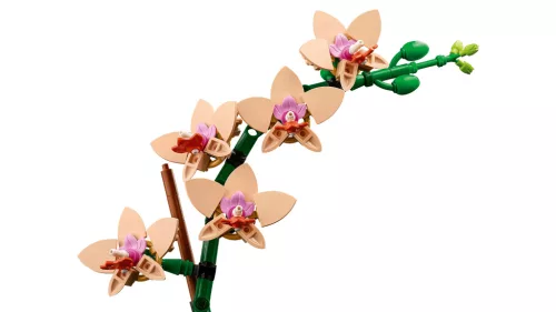 LEGO Botanicals 10343 Mini orchidea