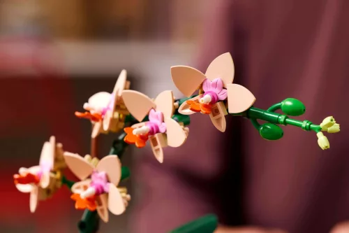 LEGO Botanicals 10343 Mini orchidea