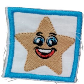 Ovis jel - Hímzett - Csillag