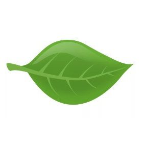 Levél ovis öntapadós jel 2x2