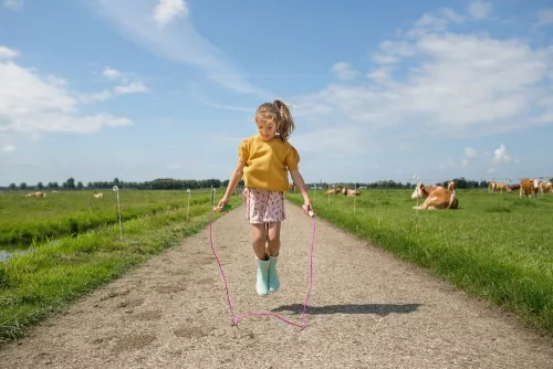 Ugrokotel_Pink_BS-Toys