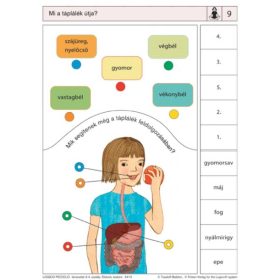 Ismeretek_3_4_osztaly_eletunk_testunk_Logico_Piccolo_978_963_294_230_9