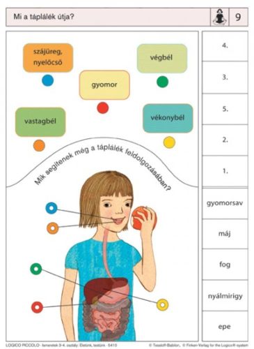 Ismeretek_3_4_osztaly_eletunk_testunk_Logico_Piccolo_978_963_294_230_9