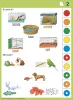 Ismeretek_1_2_osztaly_Hazi_hobbi_es_vadon_elo_allatok_Logico_Piccolo_978_963_294_069_5