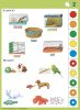 Ismeretek_1_2_osztaly_Hazi_hobbi_es_vadon_elo_allatok_Logico_Piccolo_978_963_294_069_5