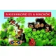 A_kisvakond_es_a_mackok_Lapozo