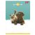 Friends_Vonalas_fuzet_tuzott_A5_32_lap_1osztaly_Unipap