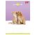 Friends_Vonalas_fuzet_tuzott_A5_32_lap_1osztaly_Unipap