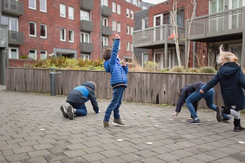 Bogarak_Fajatek_BS_Toys