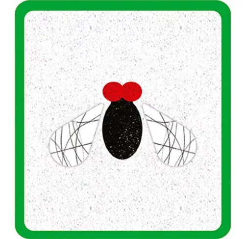 Avenue_Mandarine_JE518C_Educational_game_Anigram