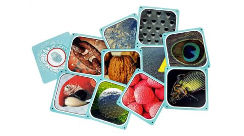 CortexChallenge2_Partyjatek