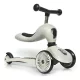 Scoot_and_Ride_Highwaykick1_2_in_1_kismotor/roller_ASH
