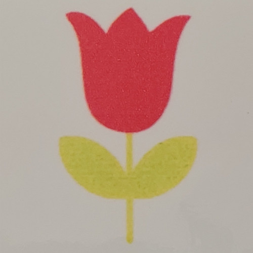 Tulipán ovis öntapadós jel 4x4