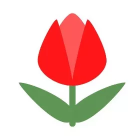 Tulipán ovis öntapadós jel 2x2