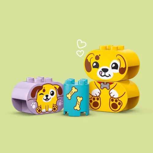 LEGO DUPLO - Formaválogató: Kutyusház