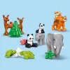 LEGO DUPLO  - 3 az 1-ben állatcsaládok a vadvilágban