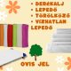 Ovikezdés csomag - fa ovis jellel